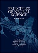 Principles Of Neural Science – Kandel | نوروساینس کندل