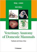 ۲۰۱۳ Veterinary Anatomy Of Domestic Mammals: Textbook And Colour Atlas