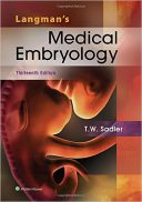 Langman’s Medical Embryology 2015