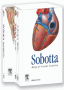 Atlas Of Human Anatomy Sobotta 2011