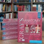 Gray's Anatomy for students 2024 آناتومی گری برای دانشجویان 2024 |  چاپ اصلی ارجینال