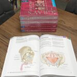 نمونه چاپی Gray's Anatomy for students 2024 آناتومی گری برای دانشجویان 2024 |  چاپ اصلی ارجینال