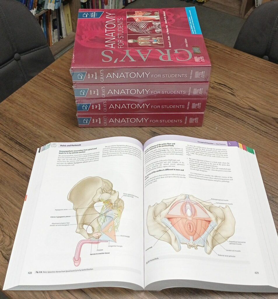 نمونه چاپی Gray's Anatomy for students 2024 آناتومی گری برای دانشجویان 2024 |  چاپ اصلی ارجینال