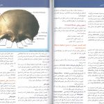 نمونه داخل فهرست کتاب آناتومی سر و گردن محمد اکبری