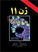 ژن ۱۱ (XI) لوین – جلد دوم