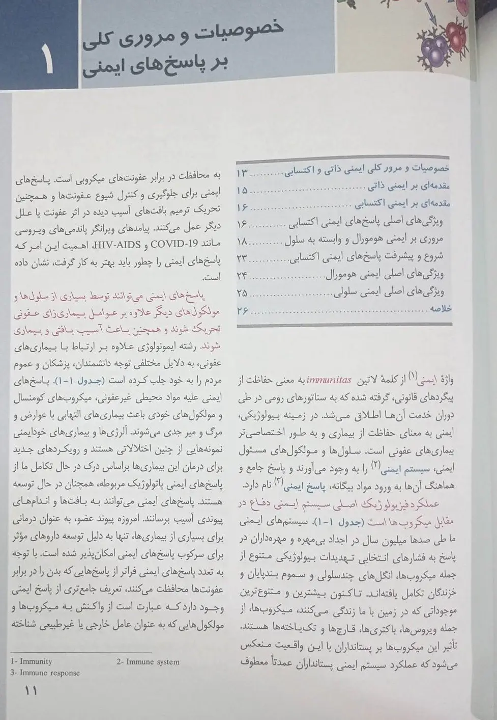 کتاب ایمونولوژی سلولی و مولکولی ابوالعباس 2026 | انتشارات اندیشه رفیع