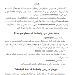 کتاب استخوان شناسی به همراه مفاصل بدن - دکتر مهدی زاده