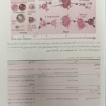 ایمونولوژی سلولی و مولکولی ابوالعباس - خلاصه QRS - اندیشه رفیع