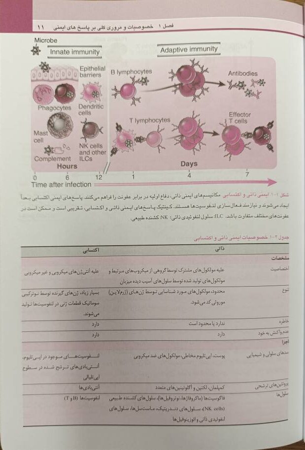 ایمونولوژی سلولی و مولکولی ابوالعباس - خلاصه QRS - اندیشه رفیع