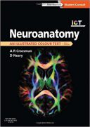Neuroanatomy: An Illustrated Colour Text 2015