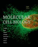 Molecular Cell Biology – Lodish 2016 – لودیش