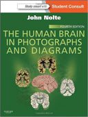 The Human Brain In Photographs And Diagrams 2013