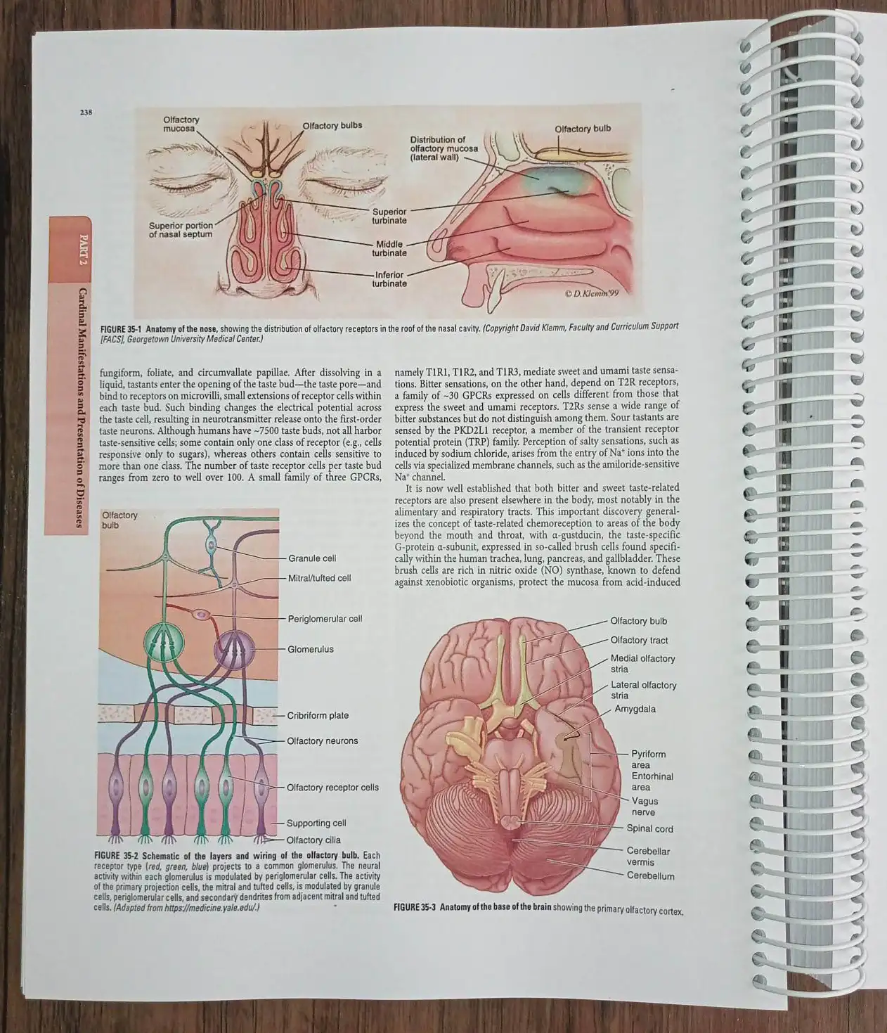 Harrison’s Principles of Internal Medicine | طب داخلی هاریسون 2026 (فصول منتخب) - تصویر 2
