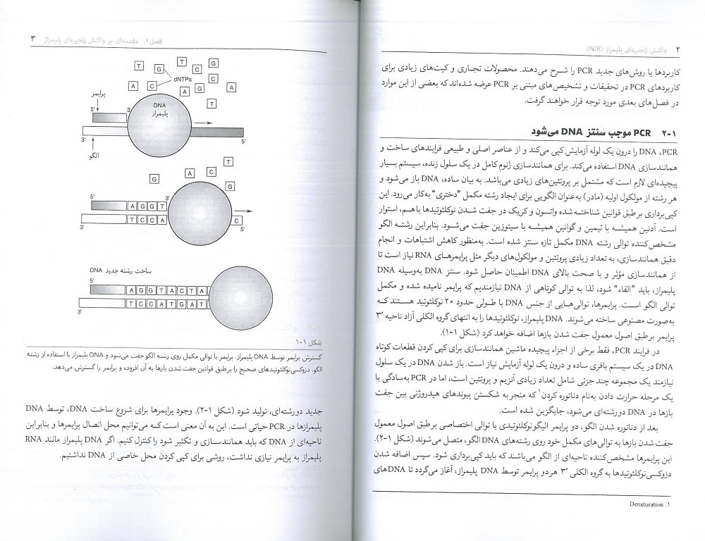 متن کتاب واکنش زنجیره ای پلیمراز PCR