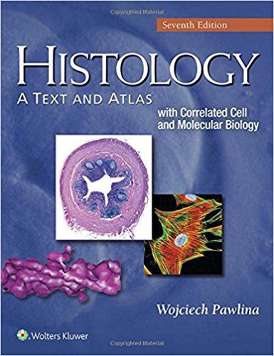 Histology : A Text and Atlas - With Correlated Cell and Molecular Biology
