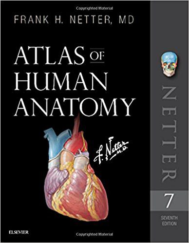  Atlas of Human Anatomy - 2019 + Video Consult - اطلس آناتومی نتر