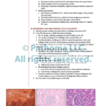 Fundamentals of Pathology sattar - پاتولوژی ستار پاتوما 2022