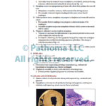 Fundamentals of Pathology sattar - پاتولوژی ستار پاتوما 2022