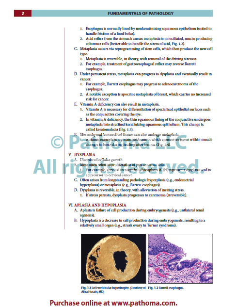 Fundamentals of Pathology sattar - پاتولوژی ستار پاتوما 2022