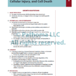 Fundamentals of Pathology sattar - پاتولوژی ستار پاتوما 2022