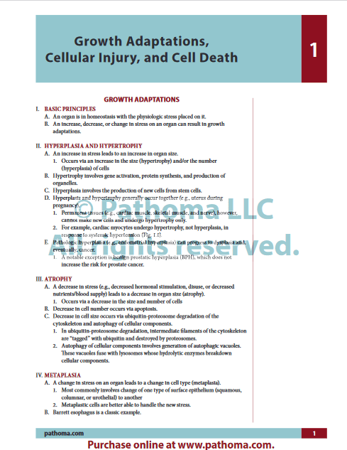 Fundamentals of Pathology sattar - پاتولوژی ستار پاتوما 2022