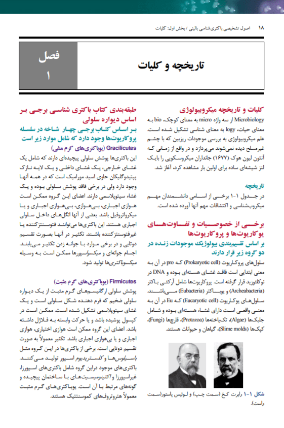 درسنامه جامع میکروب شناسی پزشکی