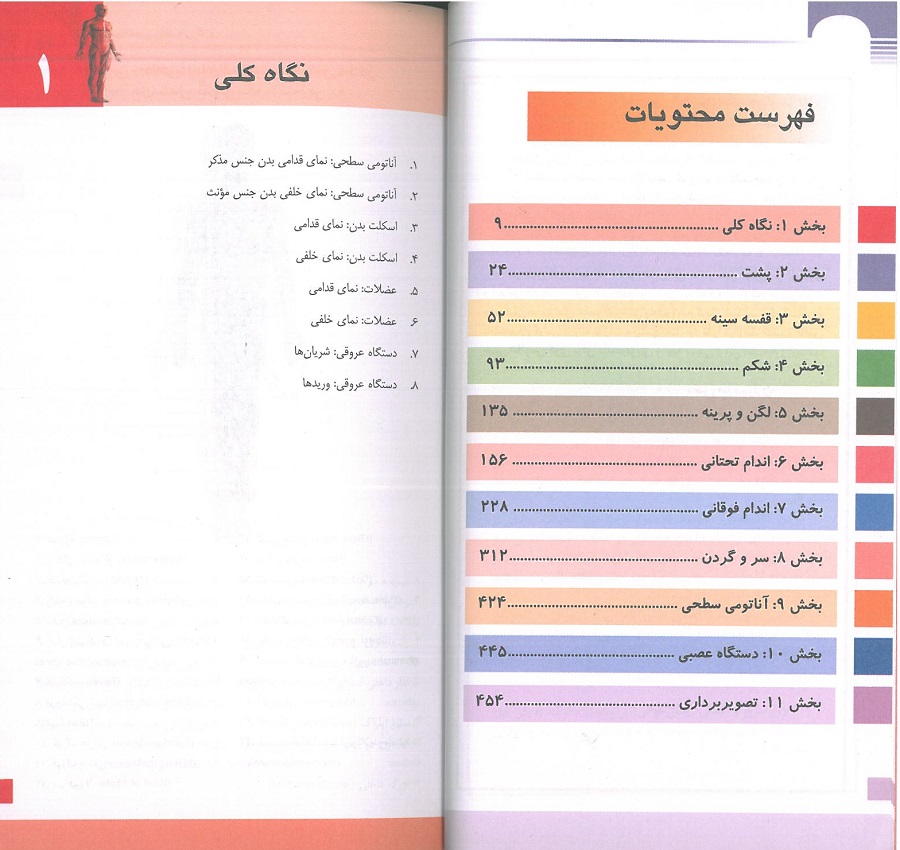فهرست کتاب فلش کارت اطلس آناتومی گری 2024 - ترجمه دکتر شیرازی - اندیشه رفیع
