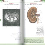 نمونه متن کتاب فلش کارت اطلس آناتومی گری 2024 - ترجمه دکتر شیرازی - اندیشه رفیع
