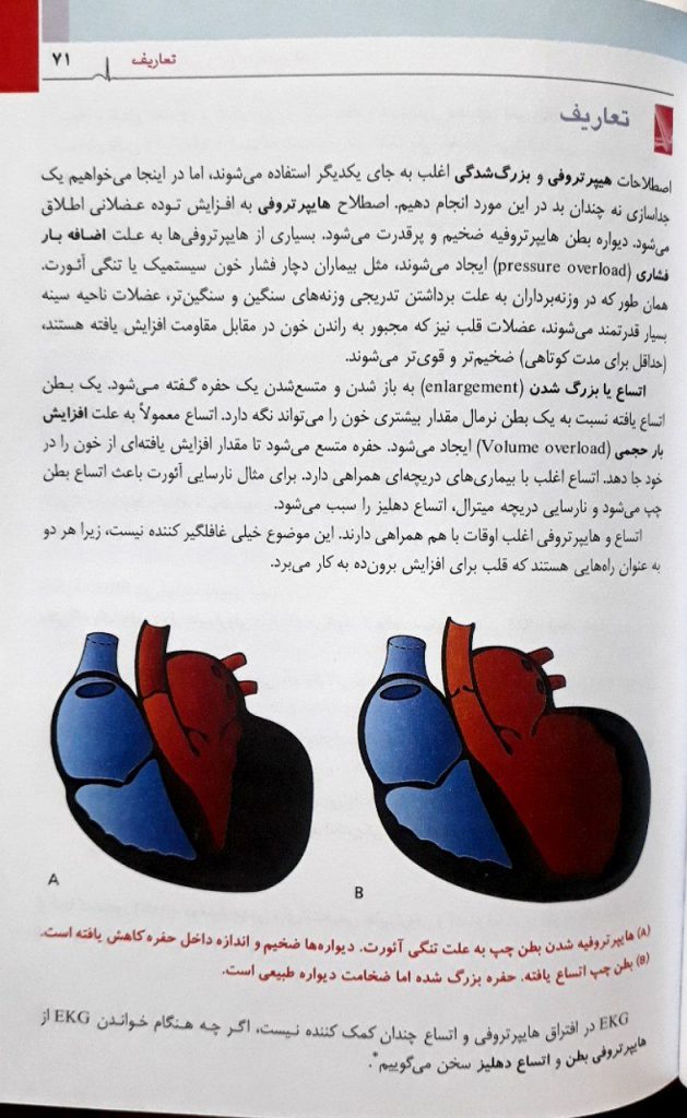 نمونه ترجمه کتاب تنها کتاب EKG