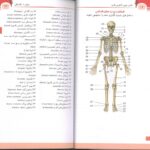 نمونه متن کتاب فلش کارت اطلس آناتومی گری 2024 - ترجمه دکتر شیرازی - اندیشه رفیع