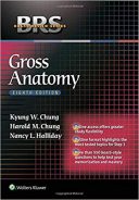 BRS Gross Anatomy -Board Review Series