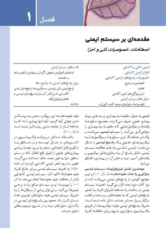 ایمونولوژی پایه ابوالعباس + اصول سرولوژی و ایمونولوژی عملی - Image 2