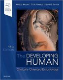 The Developing Human : Clinically Oriented Embryology 2019