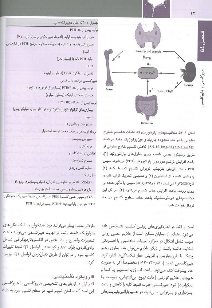 ترجمه فارسی کتاب هاریسون غدد 2022 | انتشارات اندیشه رفیع