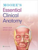 ۲۰۱۹ Moore’s Essential Clinical Anatomy – Sixth Edition | ضروریات آناتومی ...
