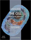 The Cell XE : A Molecular Approach – Cooper | 2019