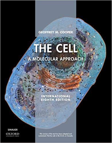 The Cell XE : A Molecular Approach - cooper | 2019