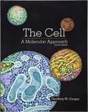 The Cell  : A Molecular Approach – Cooper – 2019