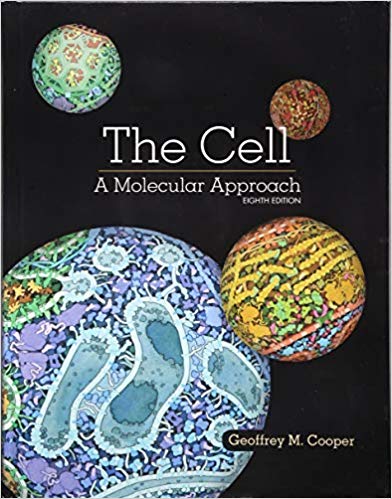 The Cell : A Molecular Approach - Cooper - 2019