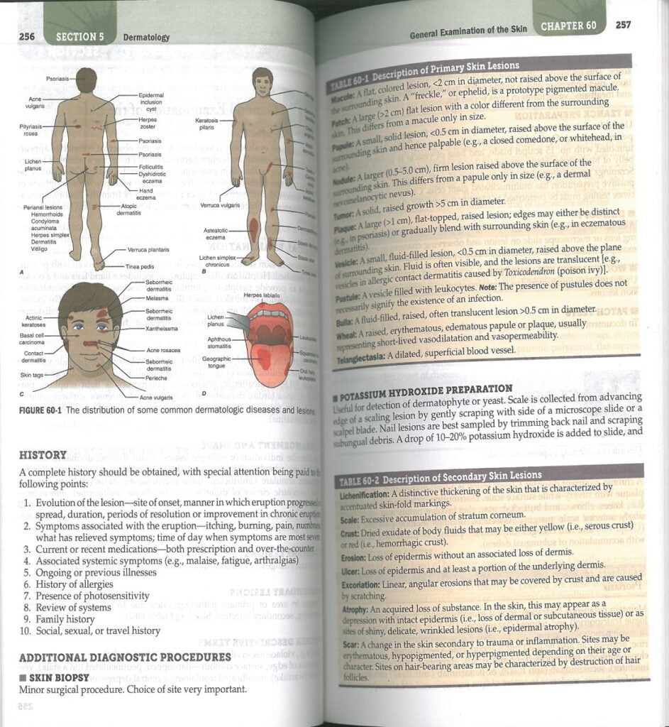 نمونه تصاویر چاپی Harrisons Manual of Medicine, 20th Edition - 2020 |  هندبوک طب داخلی هاریسون