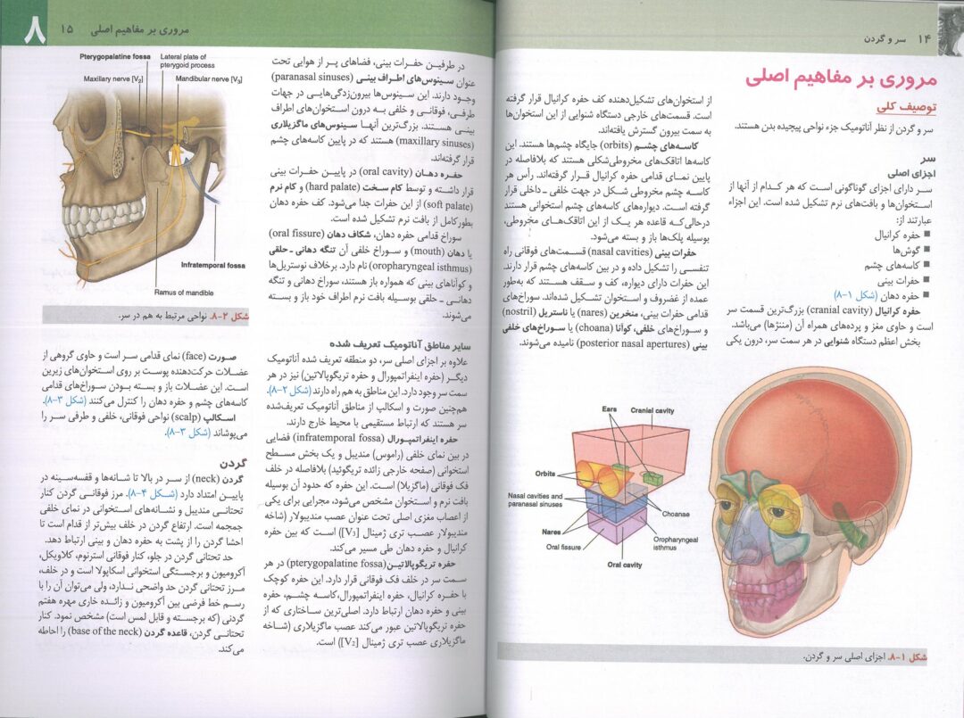 کتاب آناتومی گری سر و گردن شیرازی