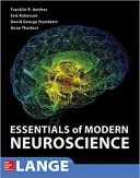Essentials Of Modern Neuroscience – 2020
