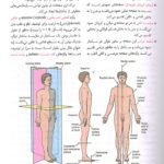 ترجمه آناتومی اسنل اندام 2019 دکتر عمیدی