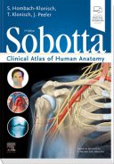 اطلس آناتومی زوبوتا – انگلیسی – Sobotta Clinical Atlas Of Human Anatomy – 2019