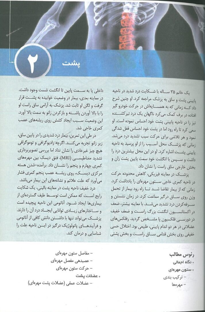 آناتومی بالینی اسنل 2019 : تنه - عمیدی