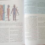ترجمه کتاب اسنل 2025 - نشر حیدری