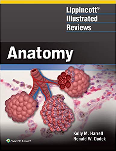 Lippincott Illustrated Reviews: Anatomy 2019