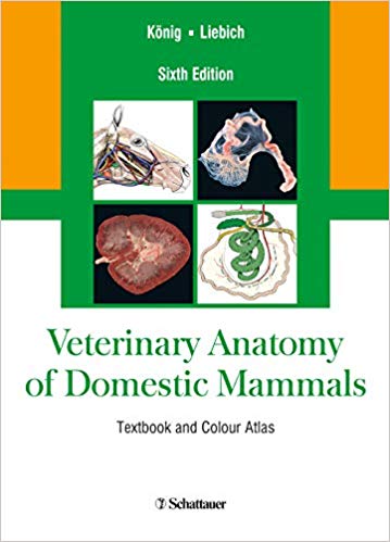2013 Veterinary Anatomy of Domestic Mammals: Textbook and Colour Atlas
