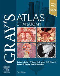 Gray's Atlas of Anatomy - 2020 - پیش فروش اطلس آناتومی گری