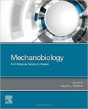 Mechanobiology: From Molecular Sensing To Disease